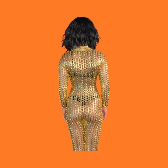 Mesh Gold Jumpsuit - Picture 3 of 13